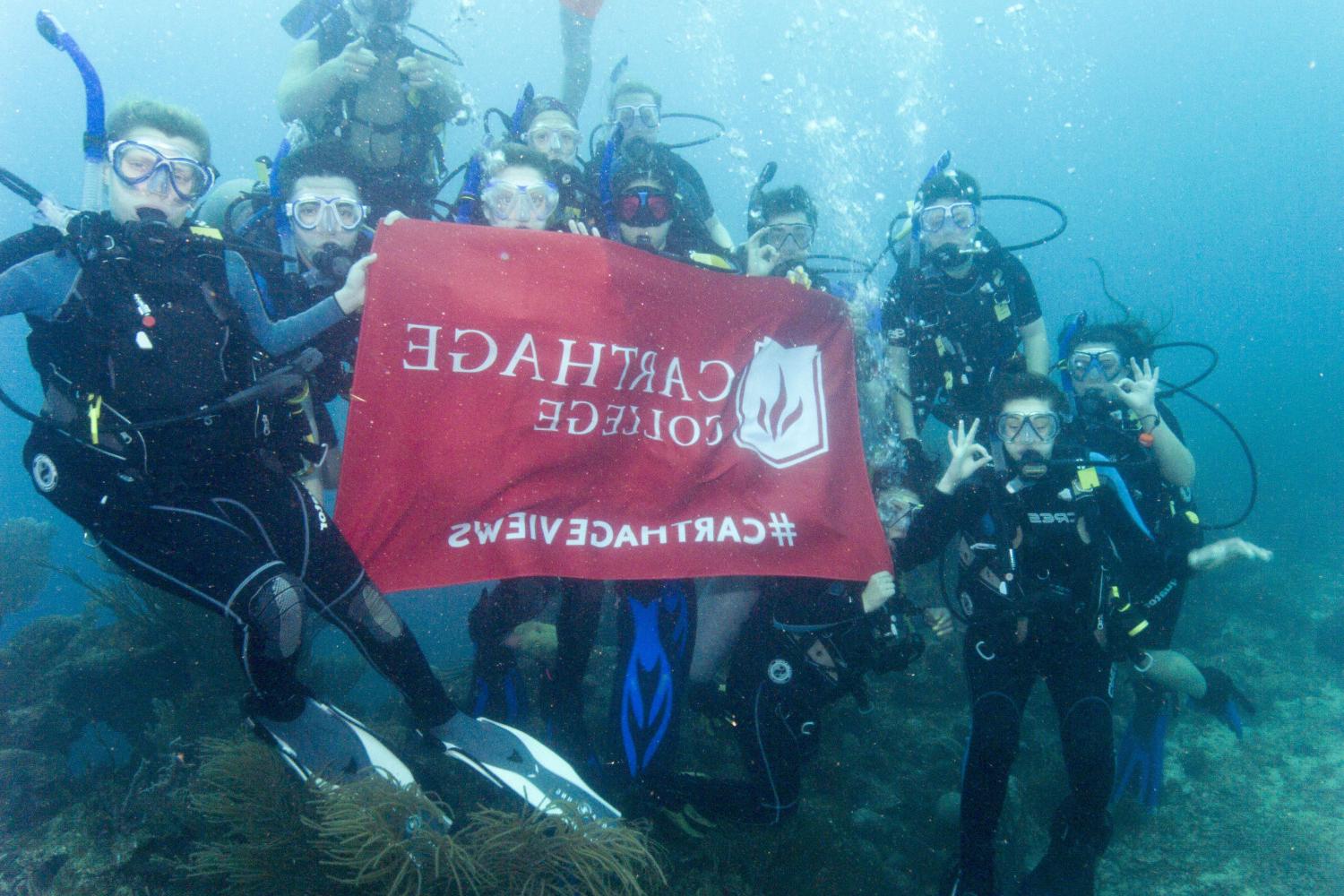 学生们手持<a href='http://1t2x.ngskmc-eis.net'>博彩网址大全</a>旗帜，在j学期洪都拉斯游学之旅中潜水.